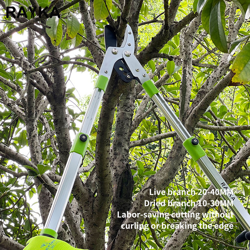 Professional orchard greening pruning tools, extended pole, labor-saving and powerful shears, efficient cutting of thick branches, hardwood shears, garden workers must-have, durable