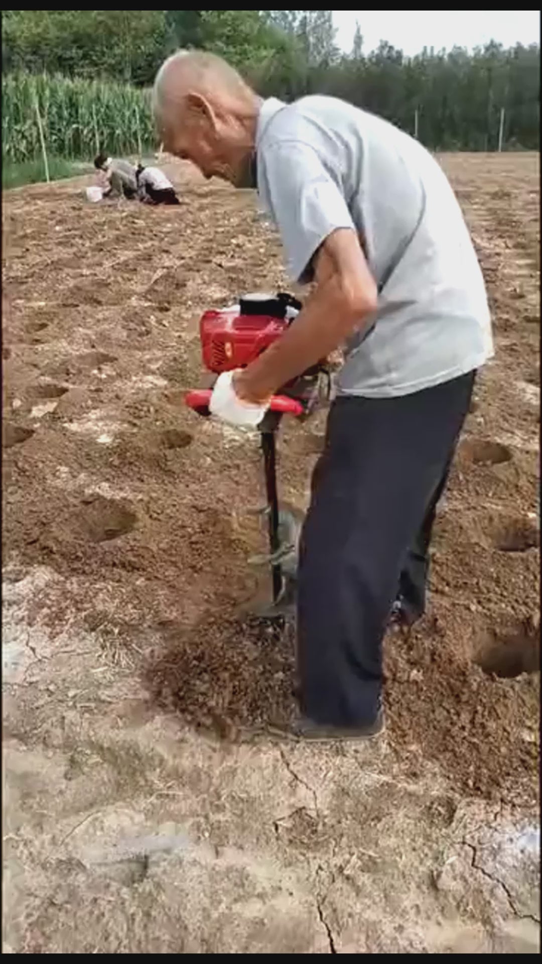 Small Ground Gasoline Excavator Manual Multi Functional Tree Planting Portable Drilling Rig